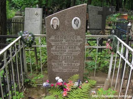 Ларисы голубиной