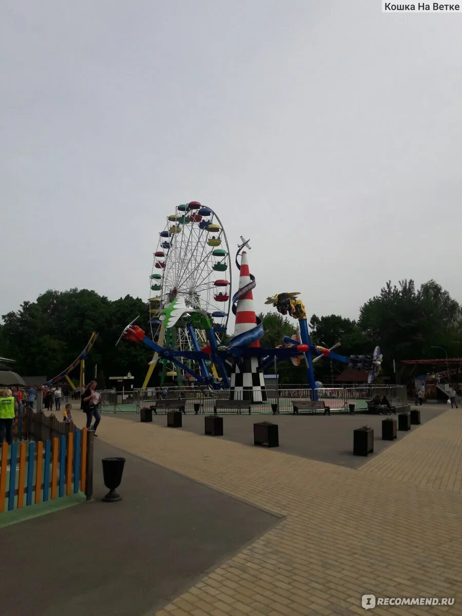 Планета сокольники москва. Парк сокольники карусели. Планета сокольники москва. Карусель в парке аттракционов. Аттракцион тайфун сокольники.