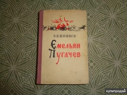 Шишки книга