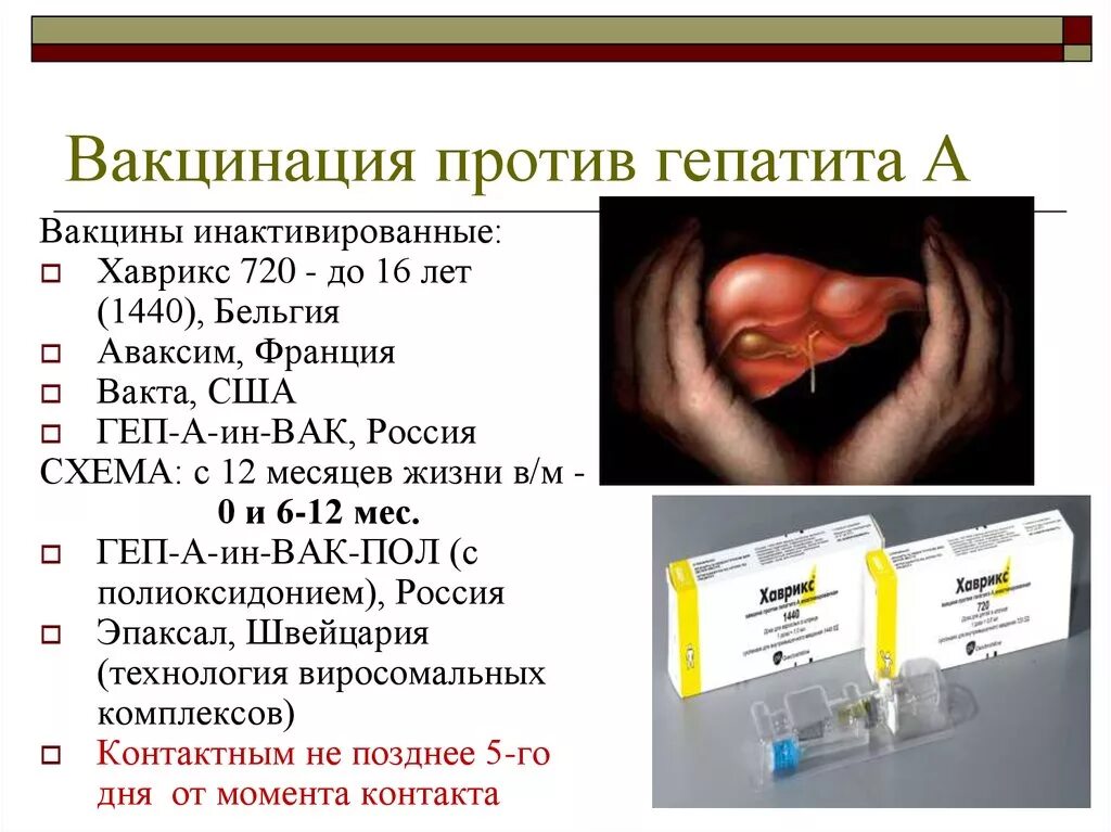 Вакцина гепатит а цена. Вакцина против гепатита а схема. Прививка против гепатита в детям схема. Прививка гепатит а схема вакцинации. Схема вакцинации от вирусного гепатита в.