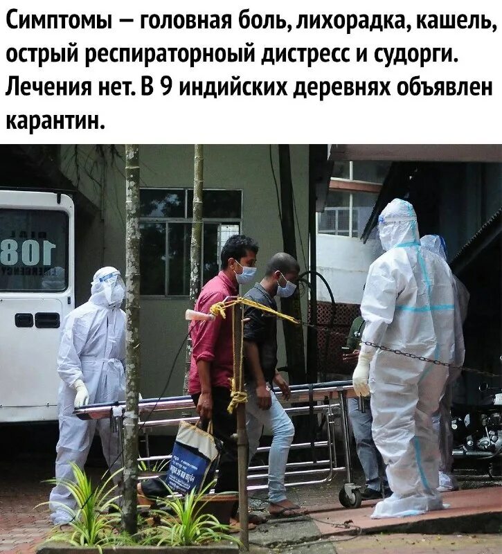 Вирус свежие новости. Вирус свежие новости. Вирус свежие новости. Вирусы эстетика. Коронавирус рендер.