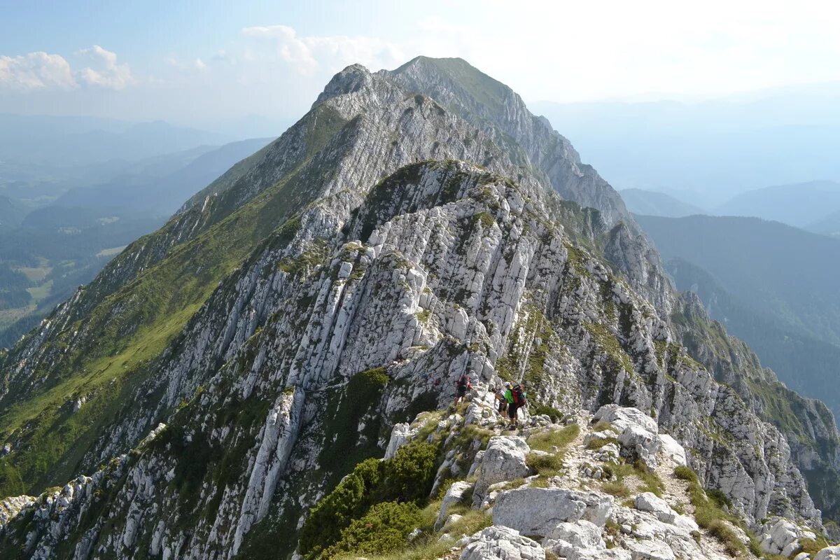 Какие есть горные. Ущелье Борго Трансильвания. Горная цепь в Румынии. Пятра Крайулуй. Южная Трансильвания гора.