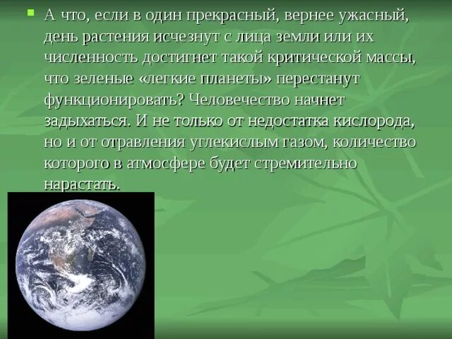 Что будет если исчезнут книги. Земля если не было растений. Если бы не было растений. Что было бы если бы не было растений. Легкие планеты.