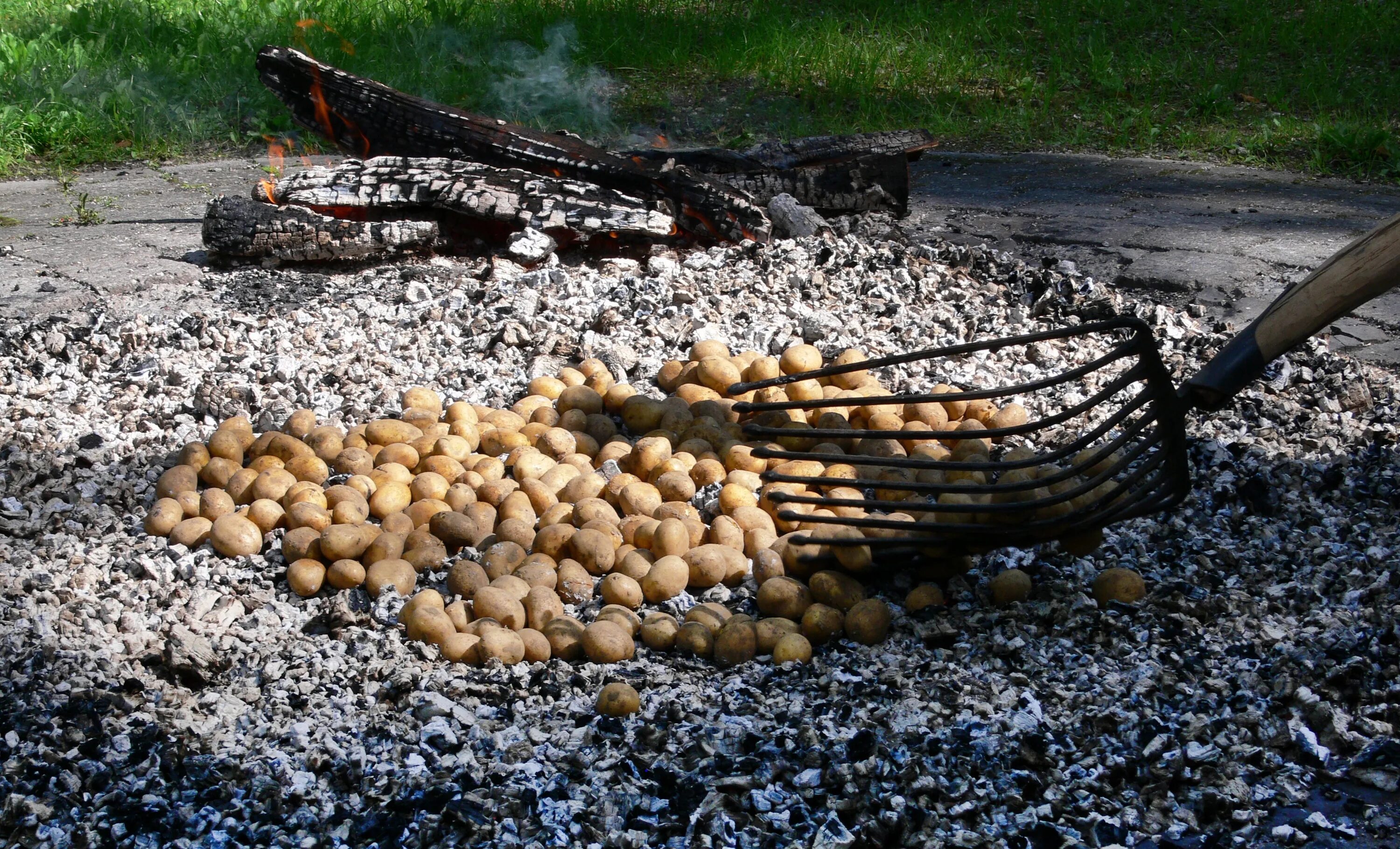 Картошка в углях сколько времени. Печеная картошка на костре. Картошка на углях в костре. Картошка на углях. Печеный картофель на костре.