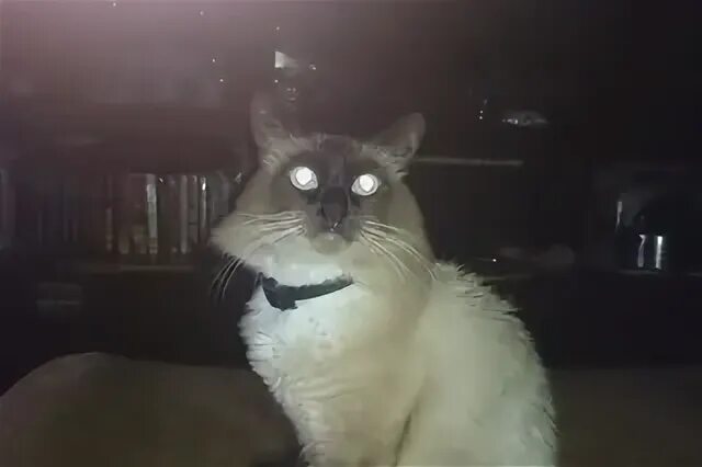 Ls740a purflux. Сабвуфер fbt ls 61a 69. Mercedes-benz axor 1840 ls. Надежда беспалова тамбов 19 августа. 12 1978.