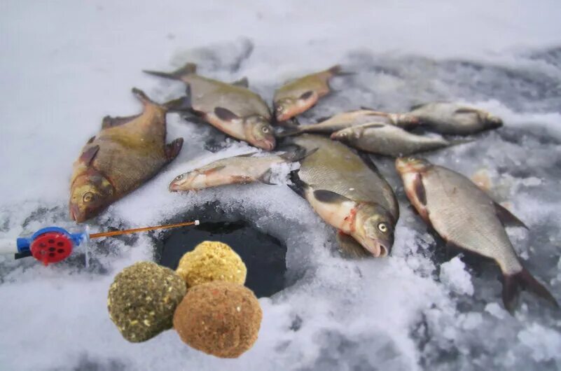 Лучшие прикормки зимой. Прикормка для зимней рыбалки. Прикорм для зимней рыбалки. Приманки на леща зимой. Прикорм для зимней рыбалки рачки.