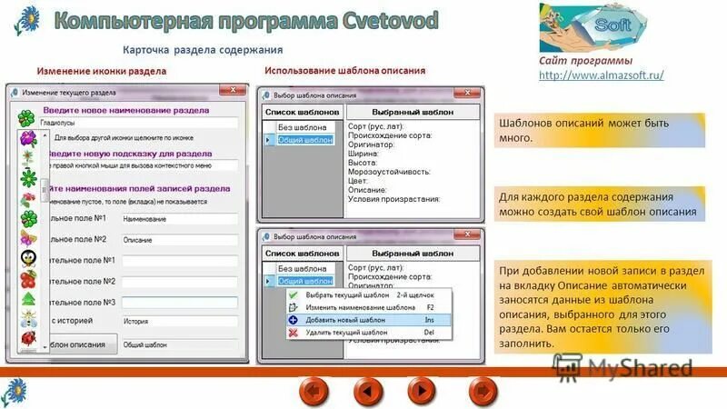 Список сайтов программы. Список сайтов программы. Beget партнерская программа. Программы для разработки сайтов. Список сайтов программы.
