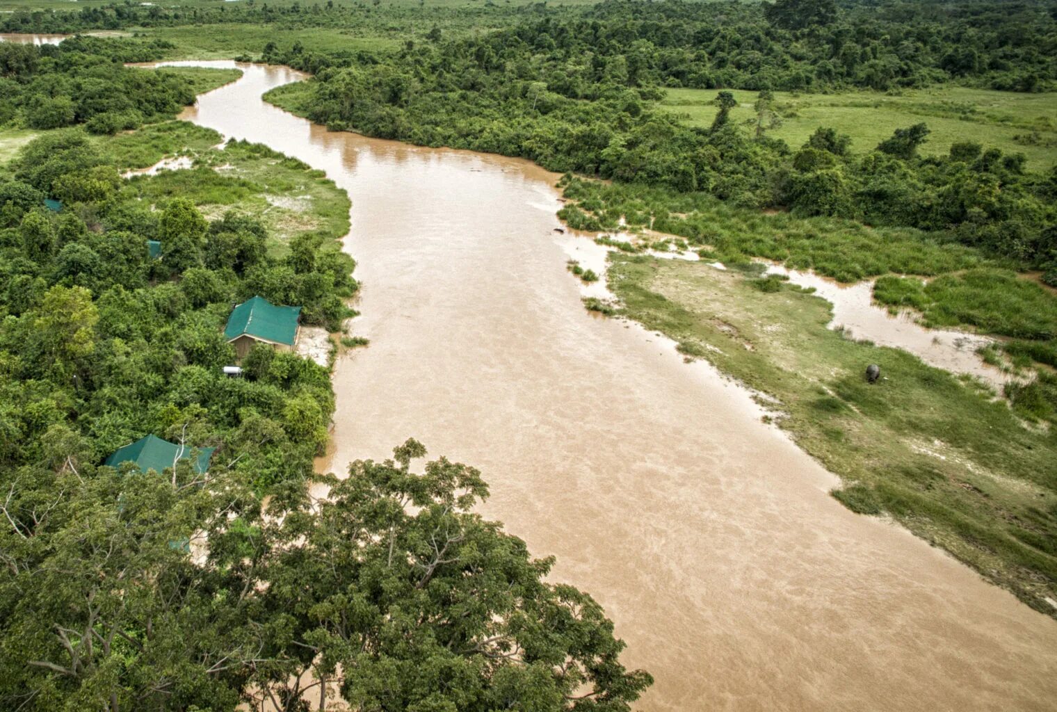 Полноводная река конго. Река Конго национальный парк Салонга. Нац парки Конго. Национальный парк Салонга в Африке. Тропические леса Демократической Республики Конго.