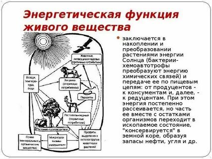 Какие вещества энергетические
