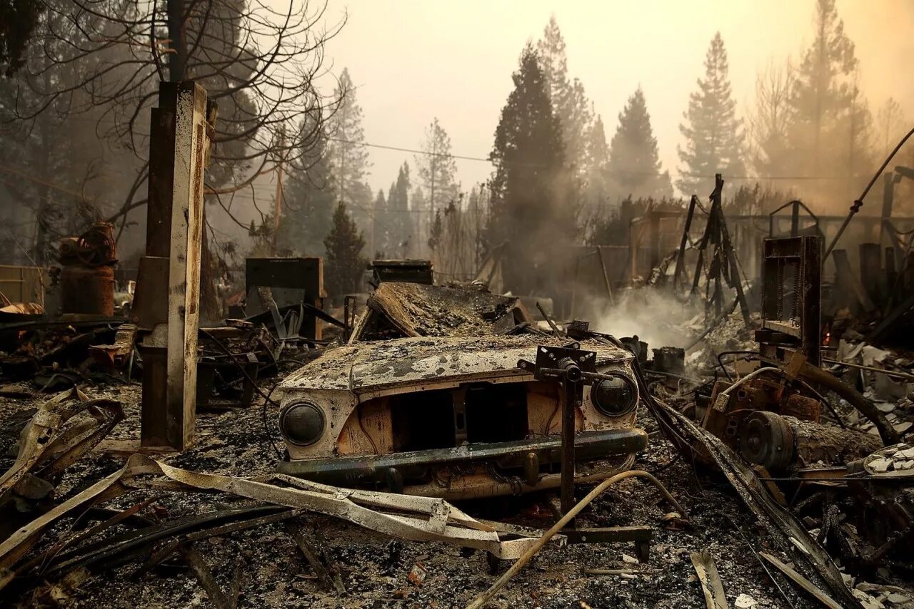 Лес после пожара. Развалины после пожара. Пепелище в лесу. Почему после пожаров