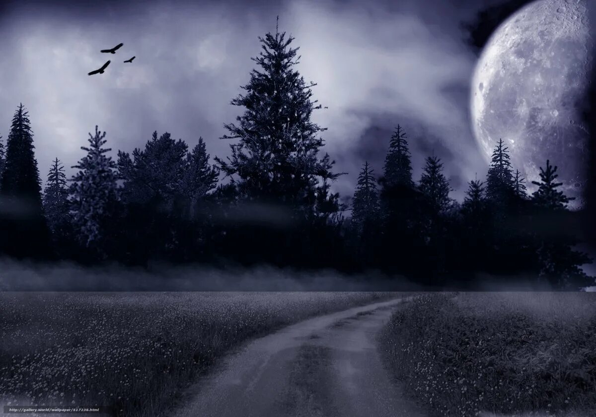 Ночь лес Луна. Ночной лес. Мрачный пейзаж. Пейзаж ночной лес.