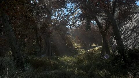Fallout 4 enb