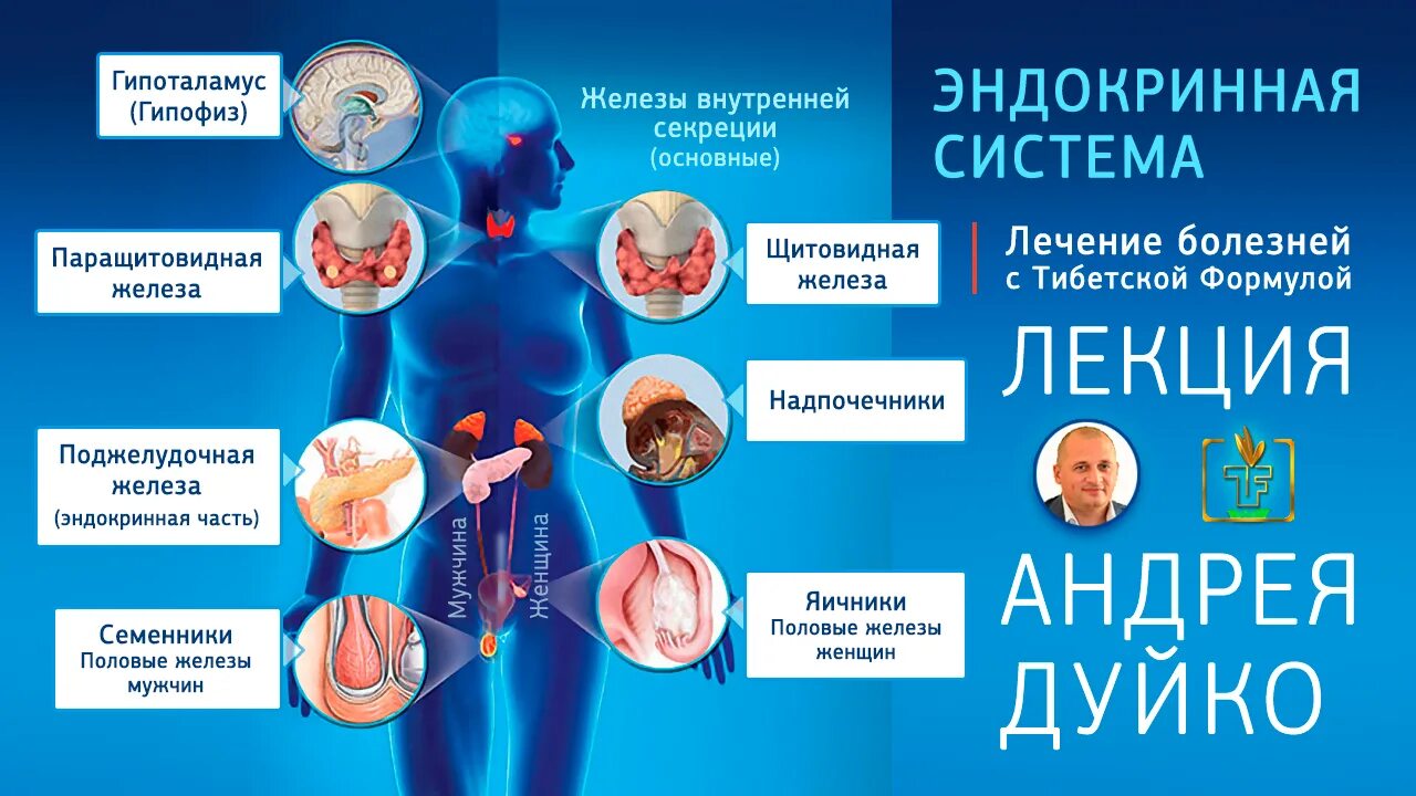 Болезни органов эндокринной системы. Профилактика эндокринных заболеваний. Памятка заболевания эндокринной системы. Профилактика эндокринных заболеваний памятка. Заболевания эндокринных органов