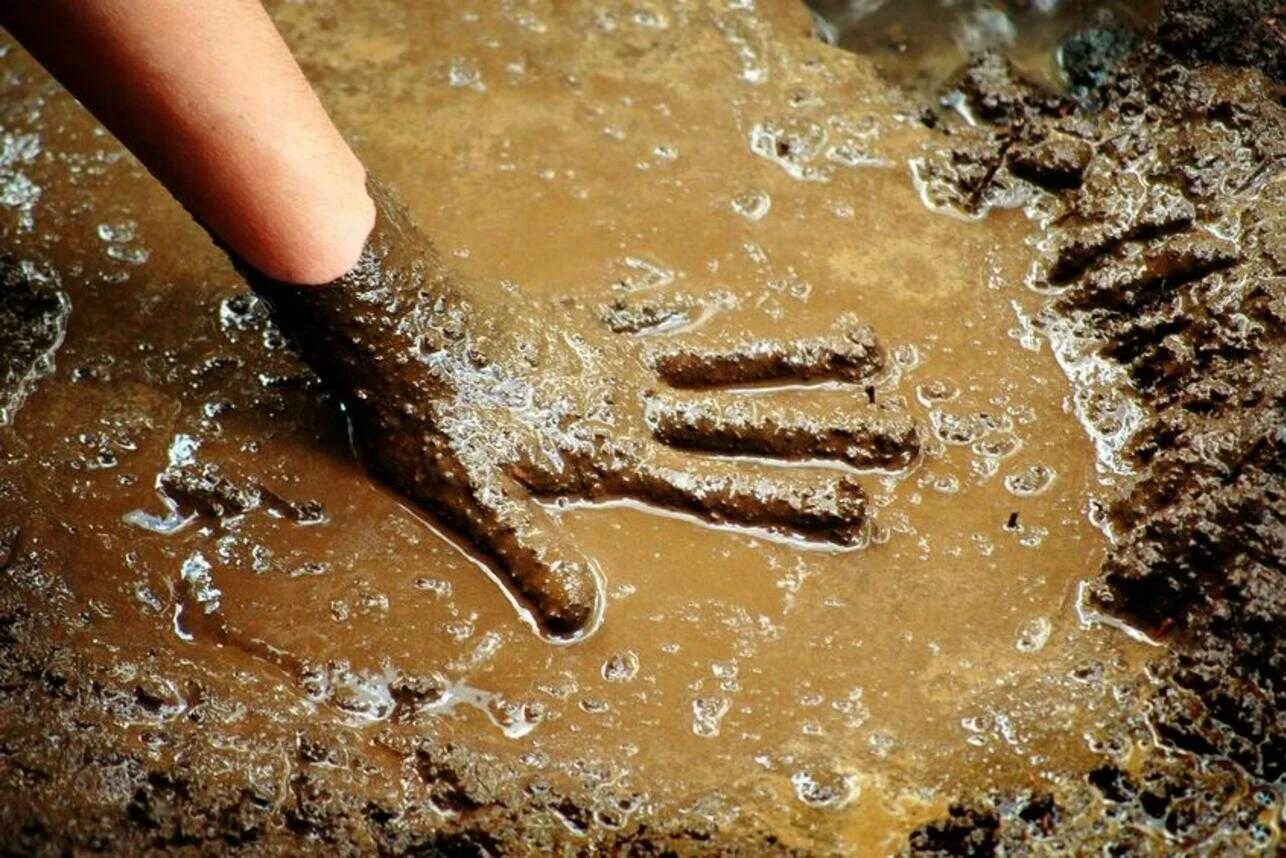 Сон руки в грязи. Сон руки в грязи. Сон руки в грязи. Альтруизм руки. Сон руки в грязи.