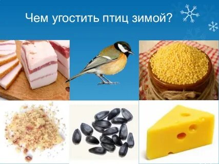 Пшено птицам зимой можно