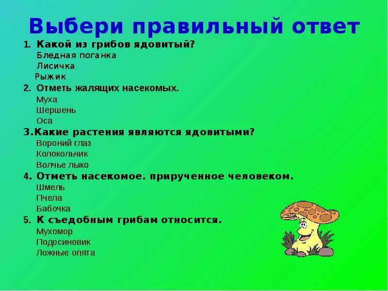 Тест животные леса. Вопросы про грибы. Вопросы для детей по теме грибы. Вопросы про ядовитые грибы.