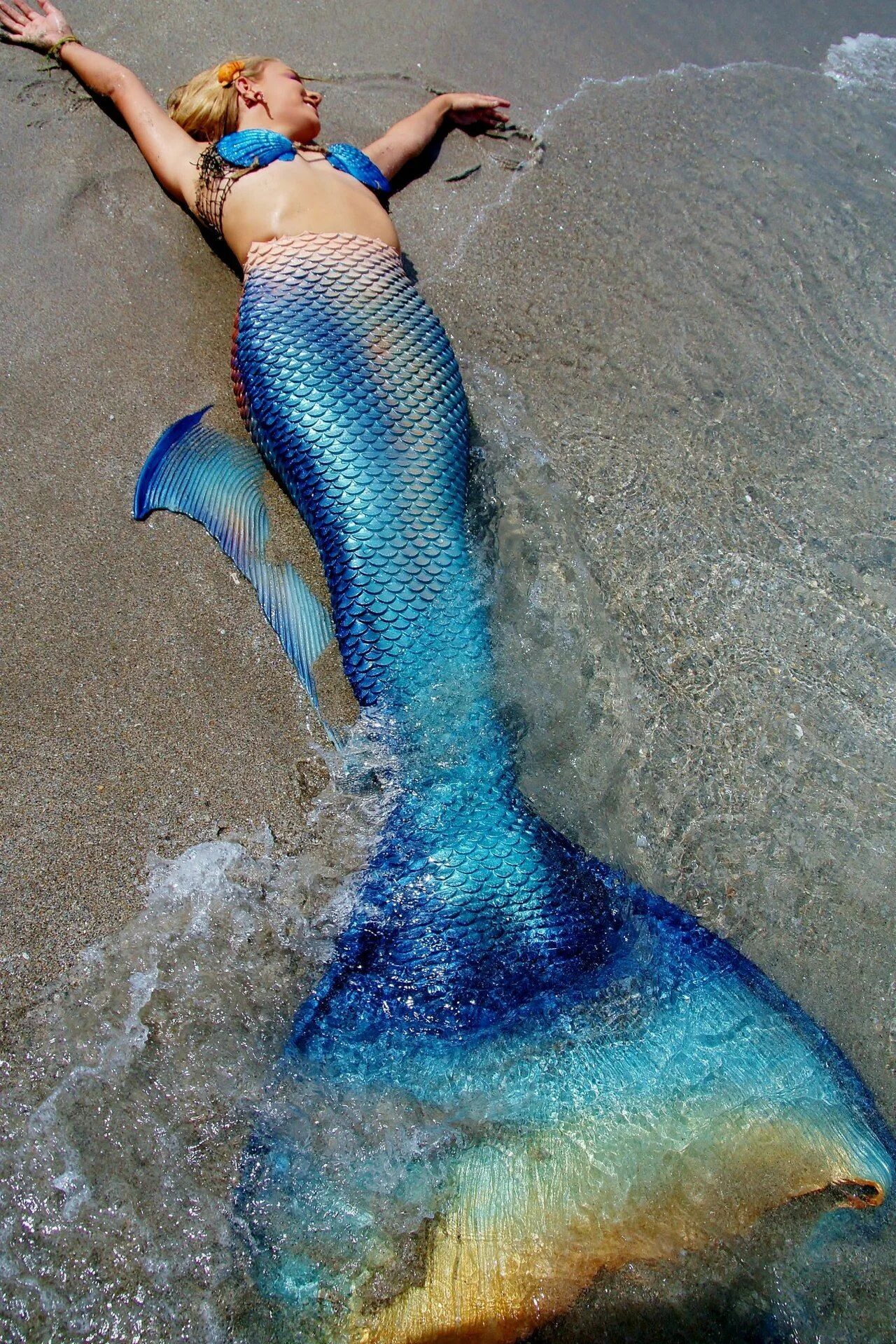 Mertailor Mermaid Tail. Русалочий хвост мако. Русалка настоящая. Хвост русалки настоящий.