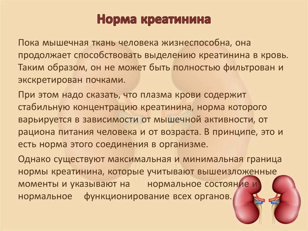 Повышение креатинина. Норма креатинина. Показатели почек креатинин. Норма креатинина у человека. Нормальные показатели креатинина в крови.