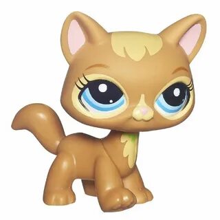 Best pets shop