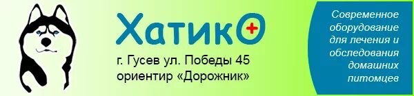 Стоматология гусев. Стоматология детская Гусев. Микродвигатель Гусев стоматология. Стоматолог Гусев Арзамас. Арт стоматология Гусев Калининградская область.