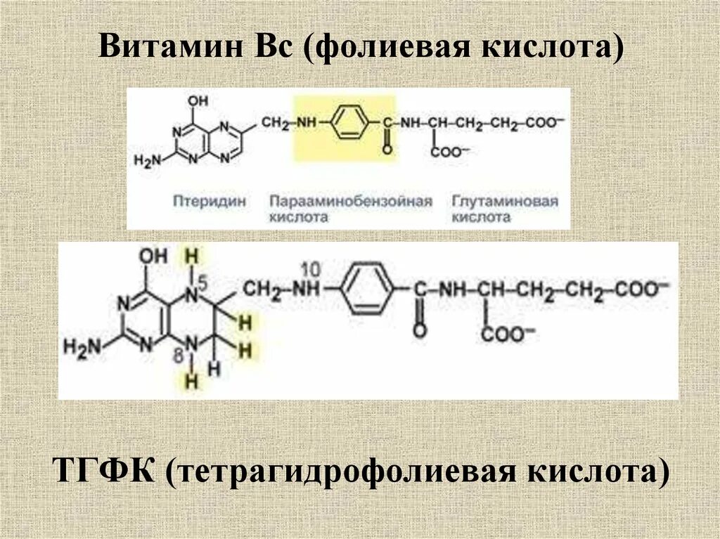 Тетрагидрофолиевая кислота активная форма витамина в9. Тетрагидрофолиевая кислота кофермент. Фолиевая кислота формула тетрагидрофолиевая. ТГФК кофермент витамина.