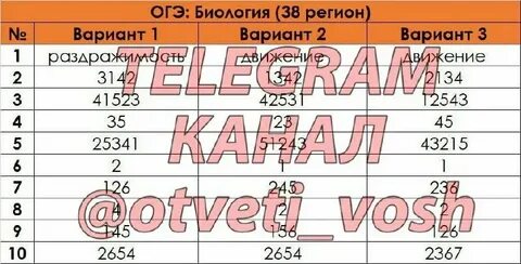 Прочитайте текст искусное владение несметными сокровищами