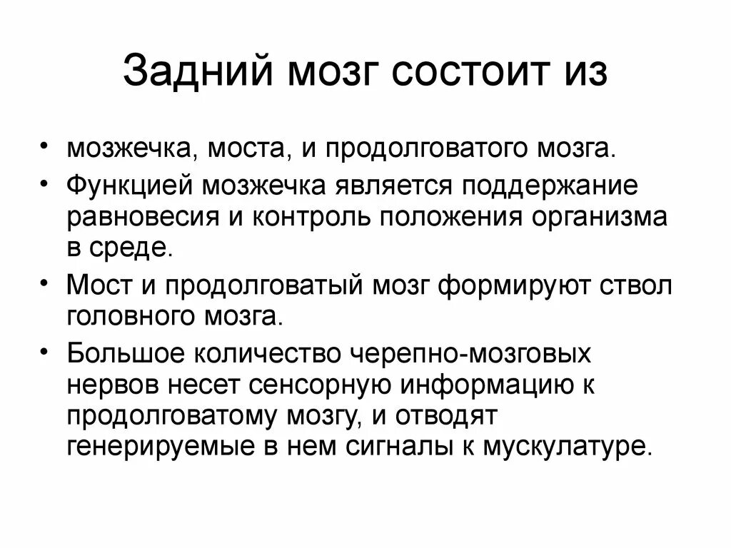 Что входит в состав заднего мозга. Задний мозг строение и функции кратко. Функции заднего мозга кратко. Задний мозг функции мозжечка. Функции моста и мозжечка заднего мозга.