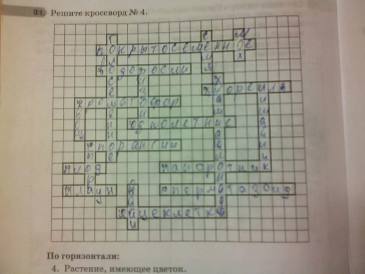 Задачи решение кроссворда. Решите кроссворд. Решение кроссвордов. Решите кроссворд по горизонтали: 4. растение имеющее цветок. Решите кроссворд по горизонтали.