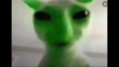Green alien cat