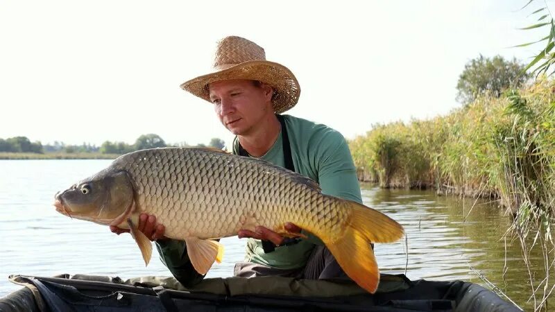 21 рыбалка на шоше лето видео. карась из кубани. юг фишинг. карась кубань. рыбалка трофеи.