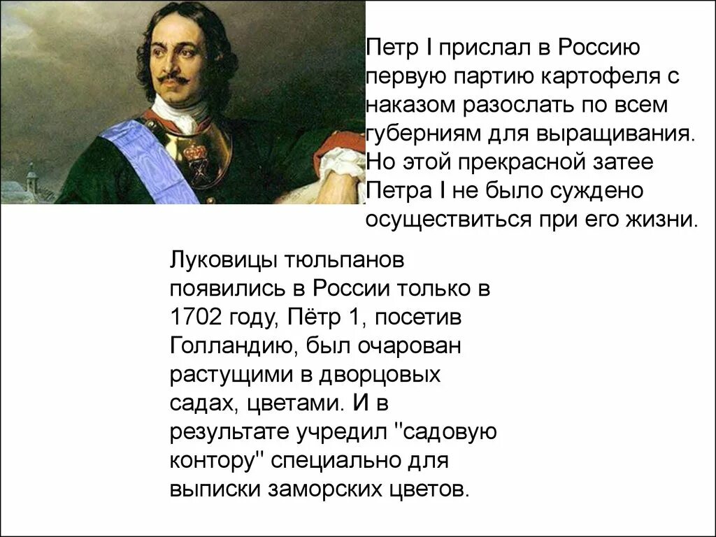 Рассказ про петра первого. Рассказ о Петре 1 о Петре. Интересные факты о Петре 1 3 класс окружающий мир.