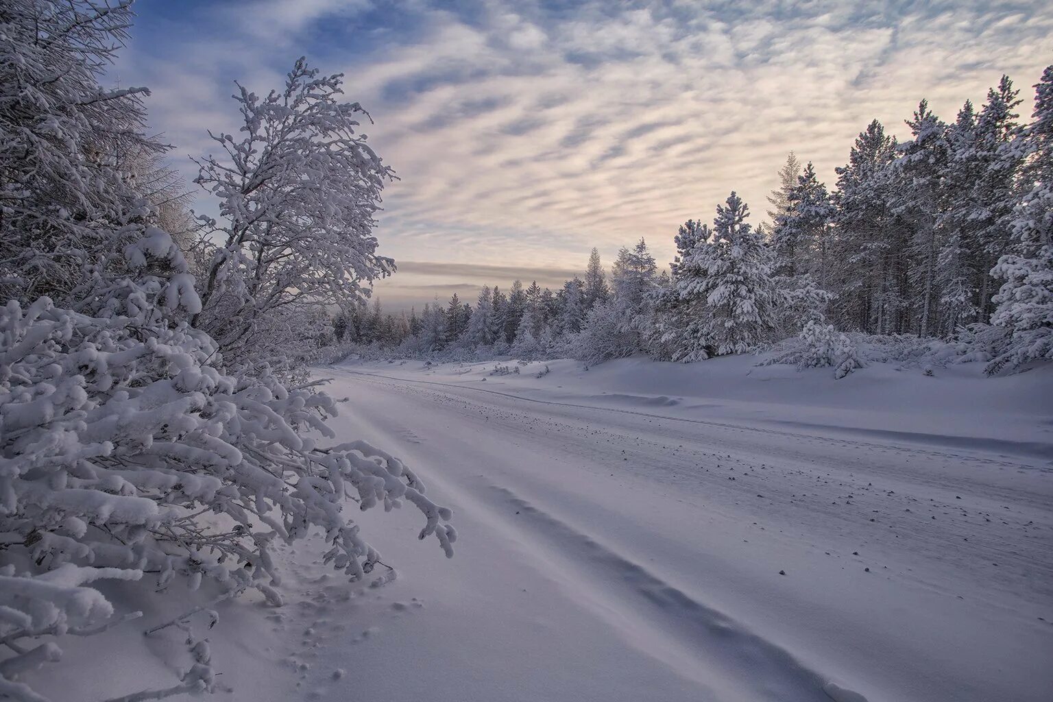 Зимний пейзаж. Зима в Якутии. Зимний лес Якутии. Зимний пейзаж Якутии. Якутский снег