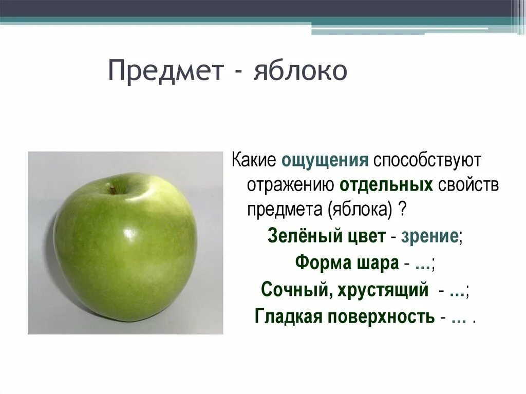Представьте яблоко какого цвета