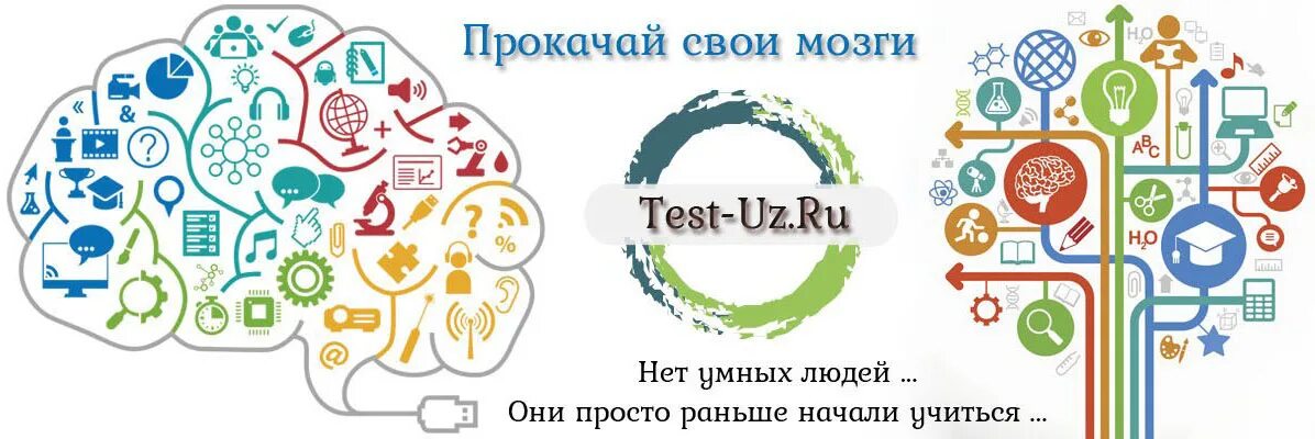 Info test uz. Тест uz. Testing uz uz. Stesting.uz/uz. Фон для обложки бизнеса, образование.