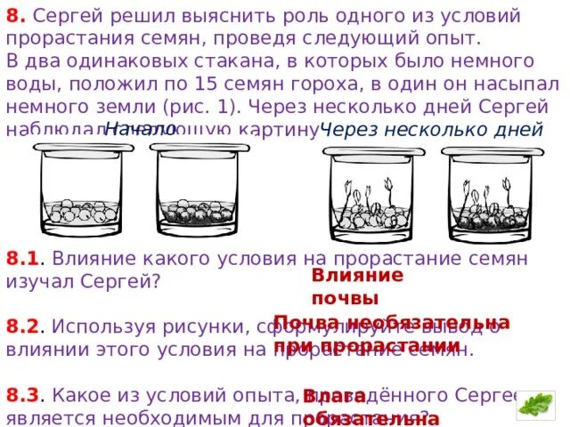 Известно что прорастание семян необходимы определенные условия. Влияет наличие почвы на прорастание семян. эксперимент прорастания семян в двух стаканах. условия прорастания семян впр. влияние почвы на прорастание семян опыт.