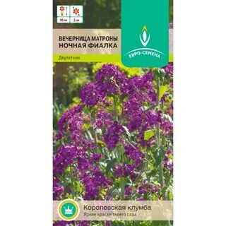 Ночная фиалка семена