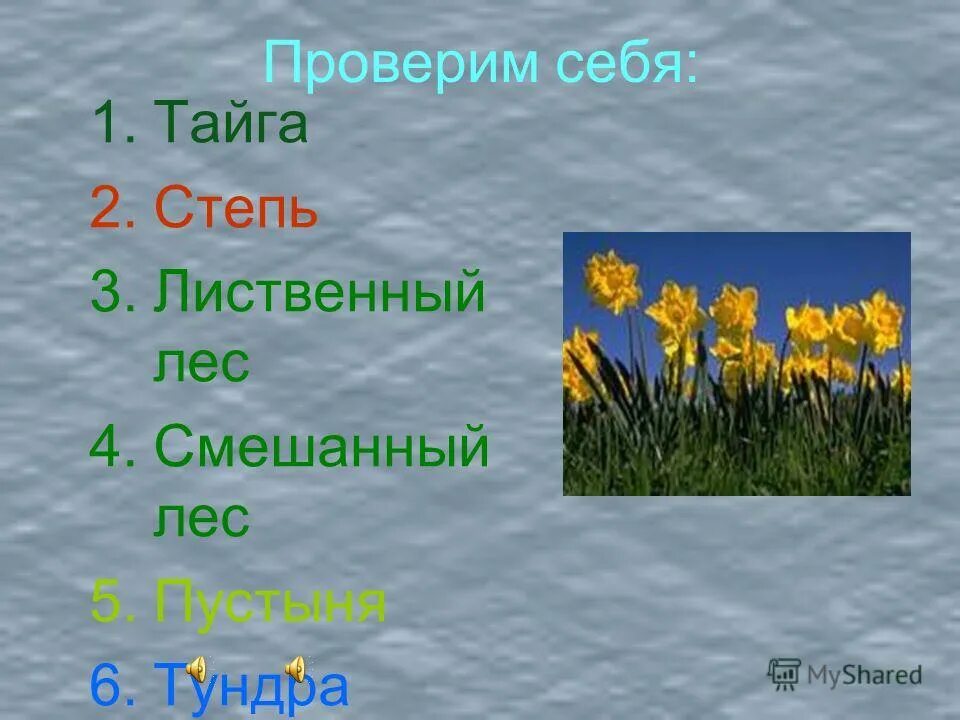 Тюльпан где растет природная зона