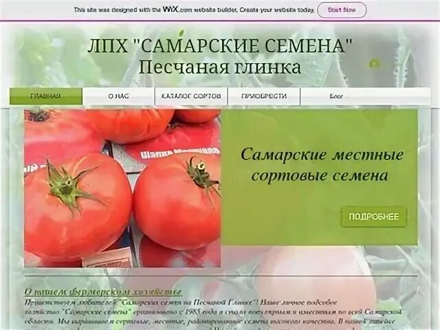 Фирма партнер. Самаре семечки. Морковь принцесса шанхая семена алтая. Каталог семян овощей. Томаты фирмы семко.