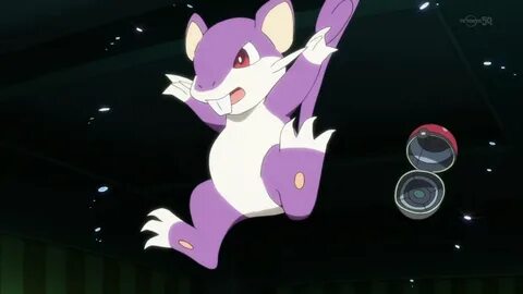 Red's Rattata - The Pokémon Wiki.