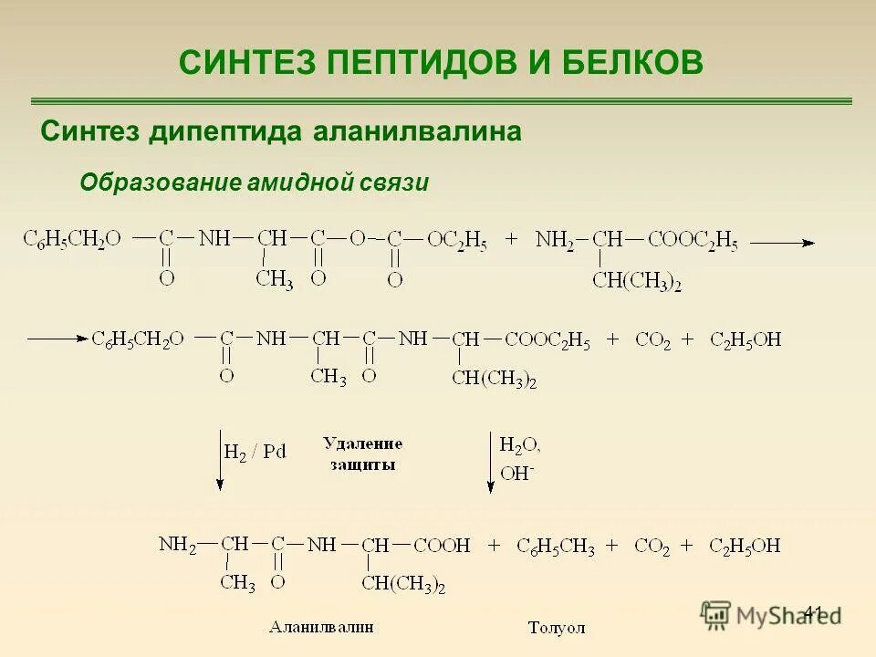 Синтещ полипиптидных уеаей. Является матрицей для синтеза полипептида. Синтез трипептида. Является матрицей для синтеза полипептида. Является матрицей для синтеза полипептида.