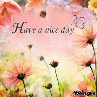 Nice day 2
