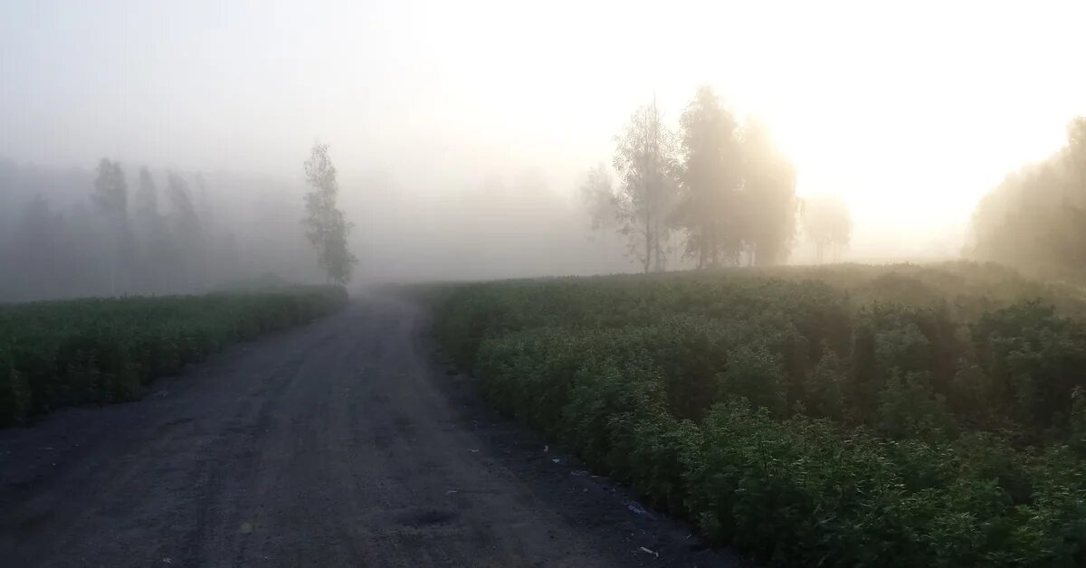 Спокойно ранним утром в глухом. Трасса лето раннее утро. Дорога раннее утро фото. Раннее утро дорога скорая. Раннее утро м5 фото.