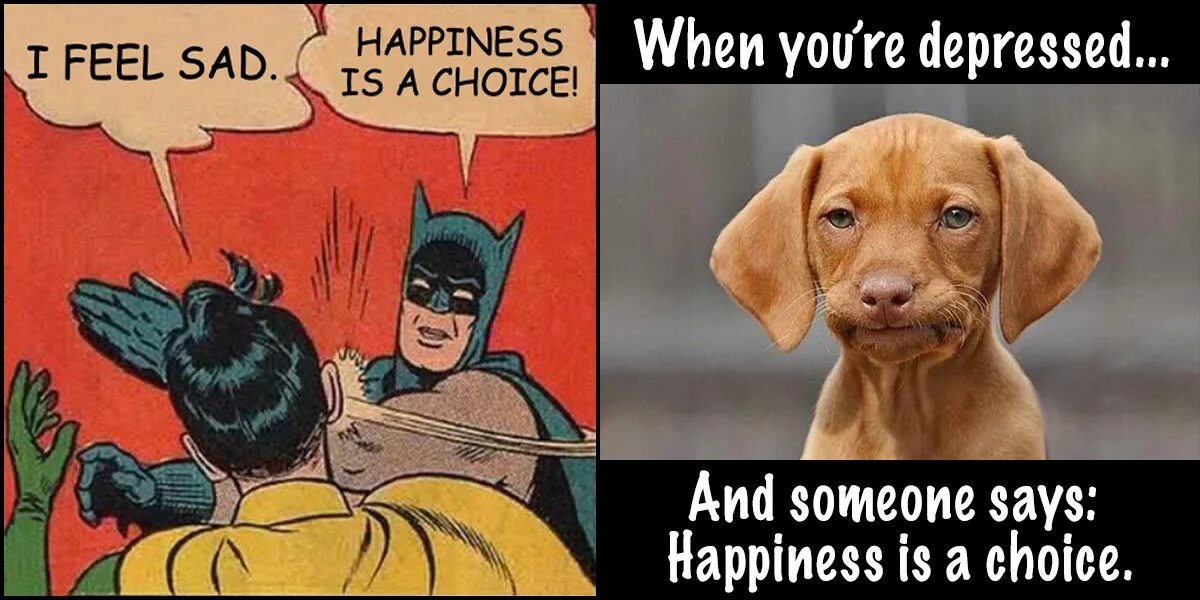 Be happy you be sad. Happiness meme. Happiness is a choice. Sad Dog meme. Happiness is a choice meme.