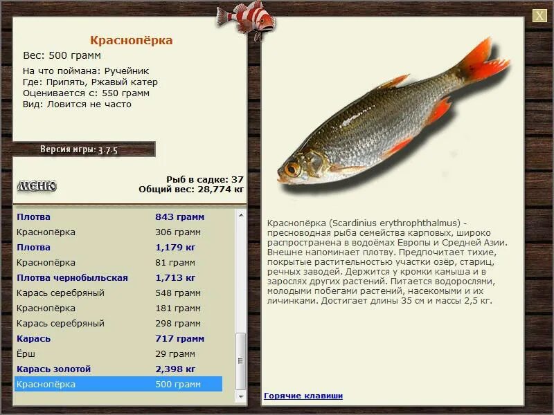 Русская рыбалка носарь. Красноперка вес. Краснопёрка рыба вес. На что ловится красноперка. Краснопёрка рыбы Европы.