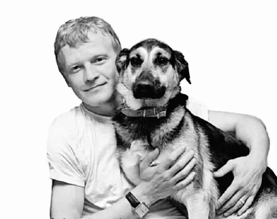 у алексея пять собак. у алексея пять собак. корги элвис алексея воробьева. у алексея пять собак. пес 5.