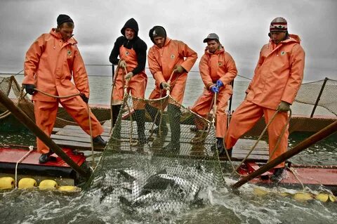 Профессии в море