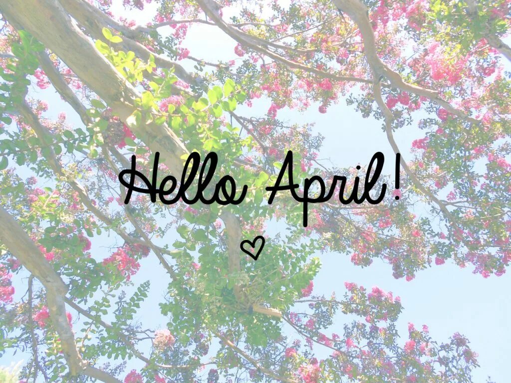 April надпись. April надпись. Надпись апрель красивым шрифтом. Апрель надпись красивая. Апрель надпись красивая.