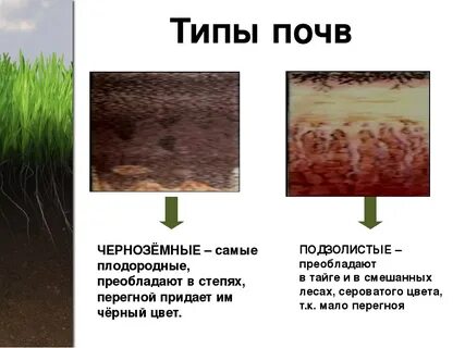 Виды плодородия почв