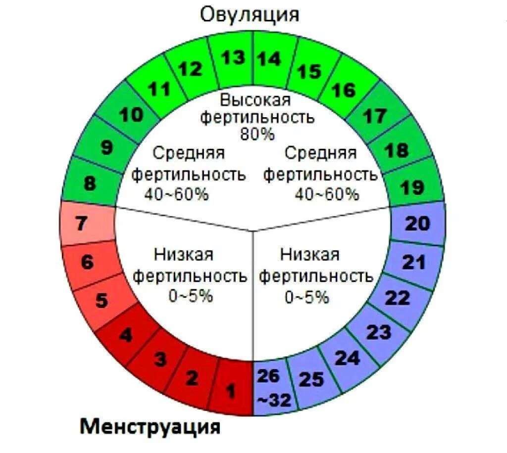 Овуляция после 35