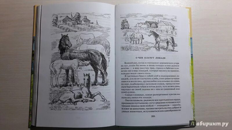 Абрамов о чем плачут лошади читать полностью. Абрамов иллюстрации к книгам. О чем плачут лошади книга. Иллюстрации к произведениям Абрамова лошади. О чём плачут лошади иллюстрации.